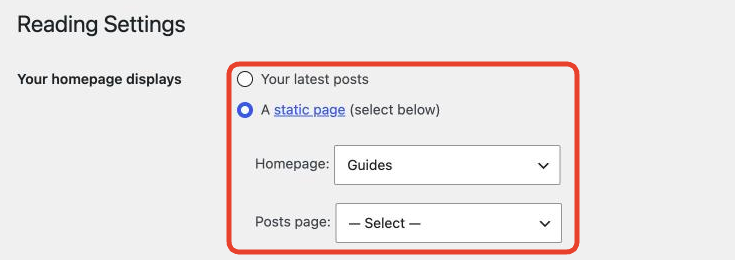 Your homepage displays, set to A static page, with the Homepage and Posts page menus highlighted