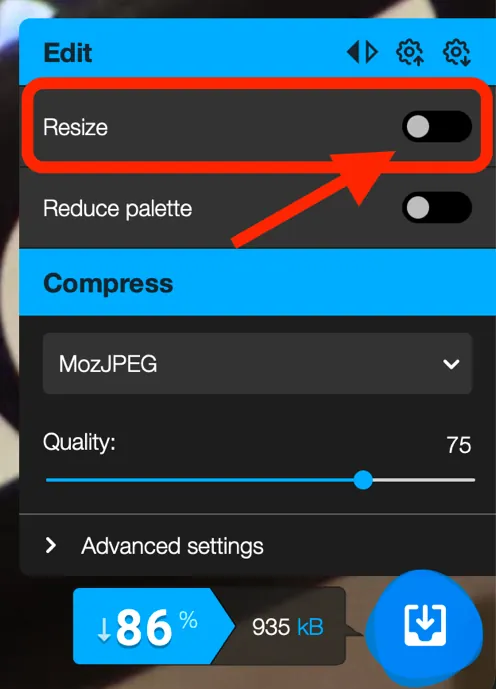 Squoosh on a desktop browser: the Resize toggle highlighted at the top of the Edit panel in the bottom-right corner